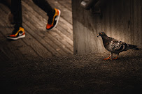 Mark Summer Photography - Photo 9 - Car repair in , Seattle