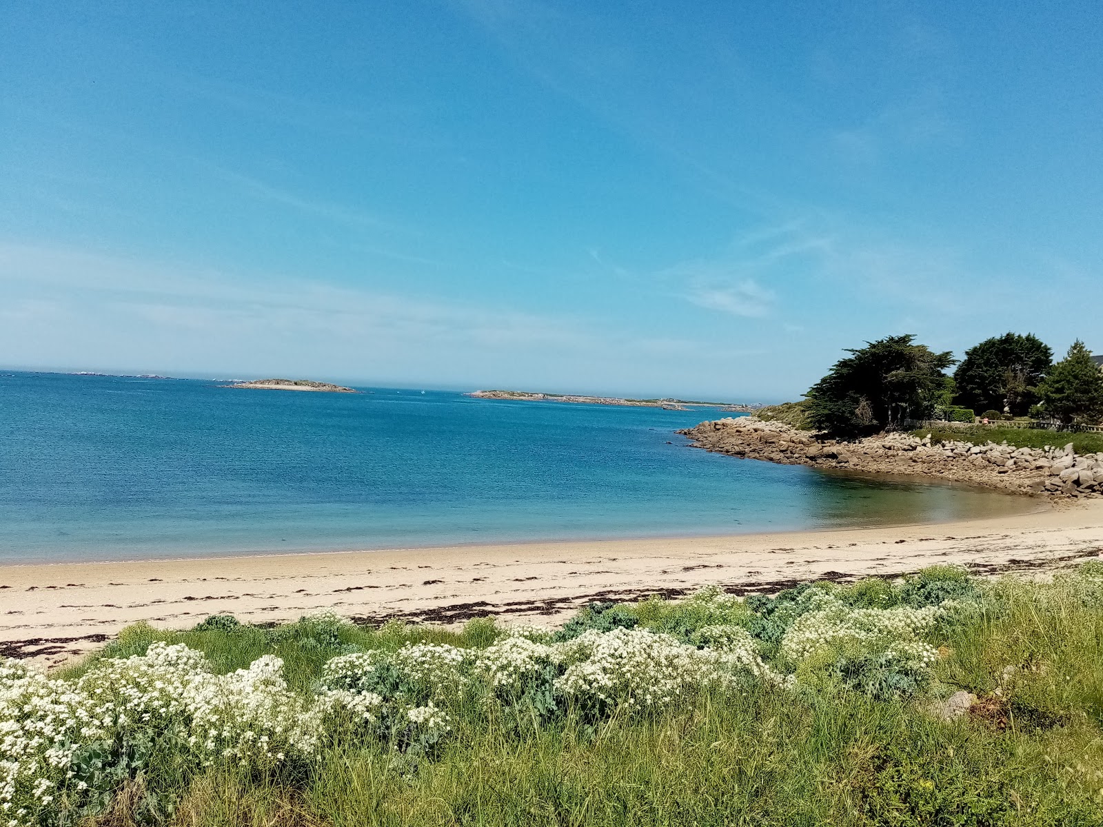 Plage de Goas Treiz的照片 带有碧绿色纯水表面