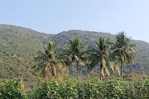 மயிலாம்பாறையார் Elanthavari Forest image