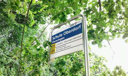 Oensingen, Schule Oberdorf