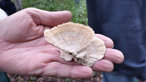 Nature Preserve «John M Olin Nature Preserve», reviews and photos, 2213 South Levis Lane, Godfrey, IL 62035, USA