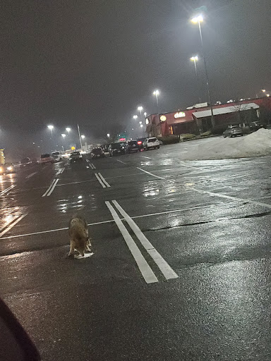 Department Store «T.J. Maxx», reviews and photos, 185 Union St, Waterbury, CT 06706, USA