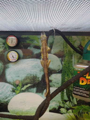 Pet Supply Store «Petco Animal Supplies», reviews and photos, 346 NY-25A #140, Rocky Point, NY 11778, USA