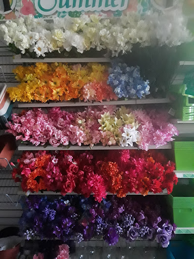 Dollar Store «Dollar Tree», reviews and photos, 4745 N Ocean Dr, Sea Ranch Lakes, FL 33308, USA