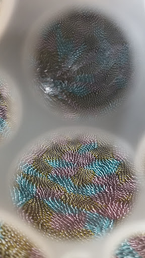 Art Gallery «Elder Gallery», reviews and photos, 1520 S Tryon St, Charlotte, NC 28203, USA