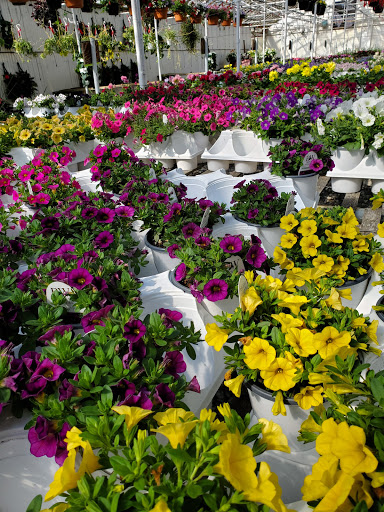 Hardware Store «South Hills Hardware», reviews and photos, 224 Old Brookpark Rd, Cleveland, OH 44109, USA