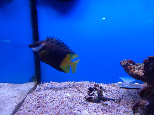 Pet Supply Store «Pet Expo Distributors», reviews and photos, 1800 Adams St, Mankato, MN 56001, USA