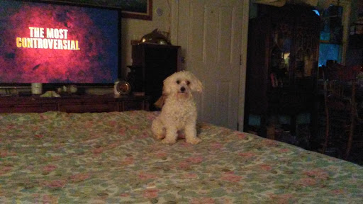 Thrift Store «CHKD Thrift Store», reviews and photos, 7122 Hayes Shopping Ct, Hayes, VA 23072, USA