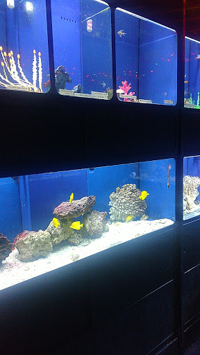 Pet Store «Creature Comforts», reviews and photos, 1250 Front St, Binghamton, NY 13901, USA