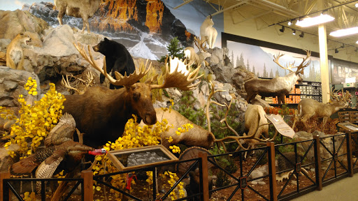 Outdoor Sports Store «Field & Stream», reviews and photos, 5215 Century Ave, Kalamazoo, MI 49006, USA