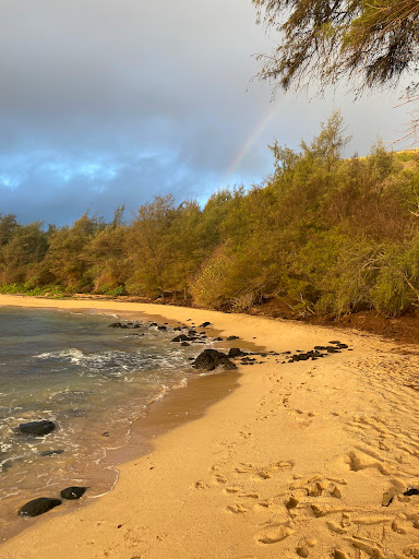 Travel Agency «Global Travel Network», reviews and photos, 512 E 4500 S #100, Salt Lake City, UT 84107, USA