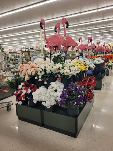 Craft Store «Hobby Lobby», reviews and photos, 14286 Beach Blvd #1, Jacksonville Beach, FL 32250, USA