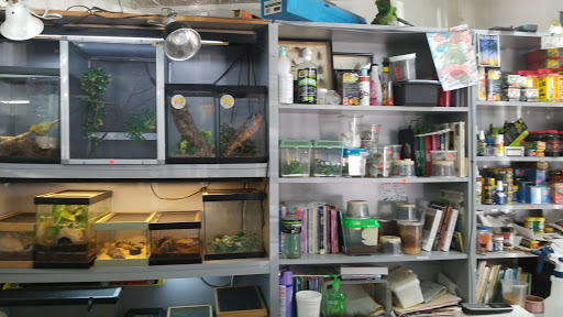 Reptile Store «La Habra Pets», reviews and photos, 1919 W La Habra Blvd, La Habra, CA 90631, USA
