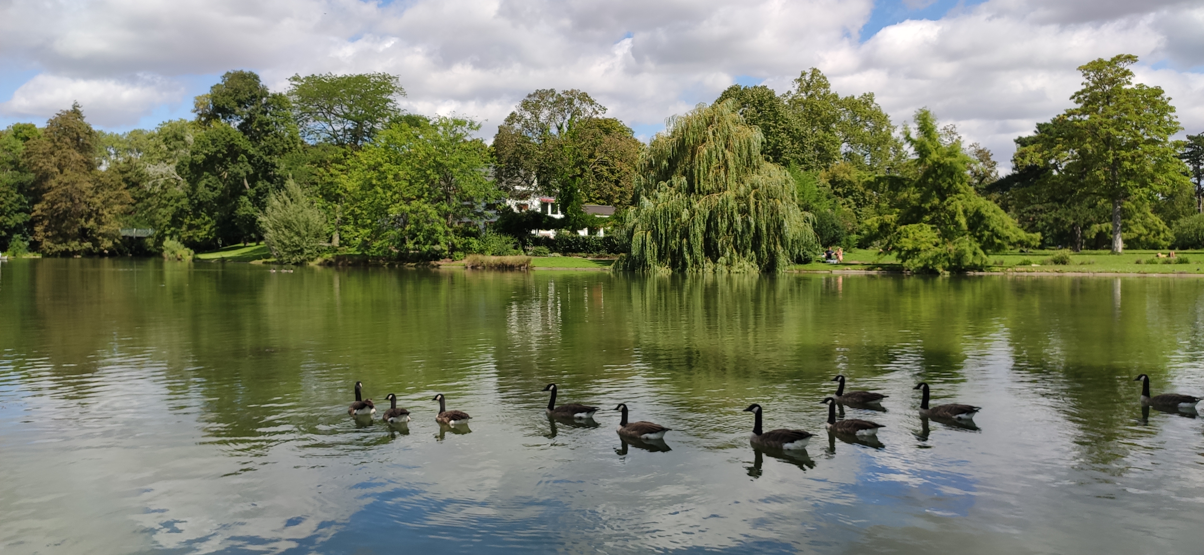 Photo n° 20 de l'avis de Claude.Q fait le 15/08/2023 à 14:52