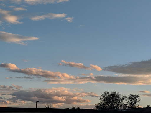 Bicycle Store «Performance Bicycle», reviews and photos, 7430 W 88th Ave, Westminster, CO 80021, USA