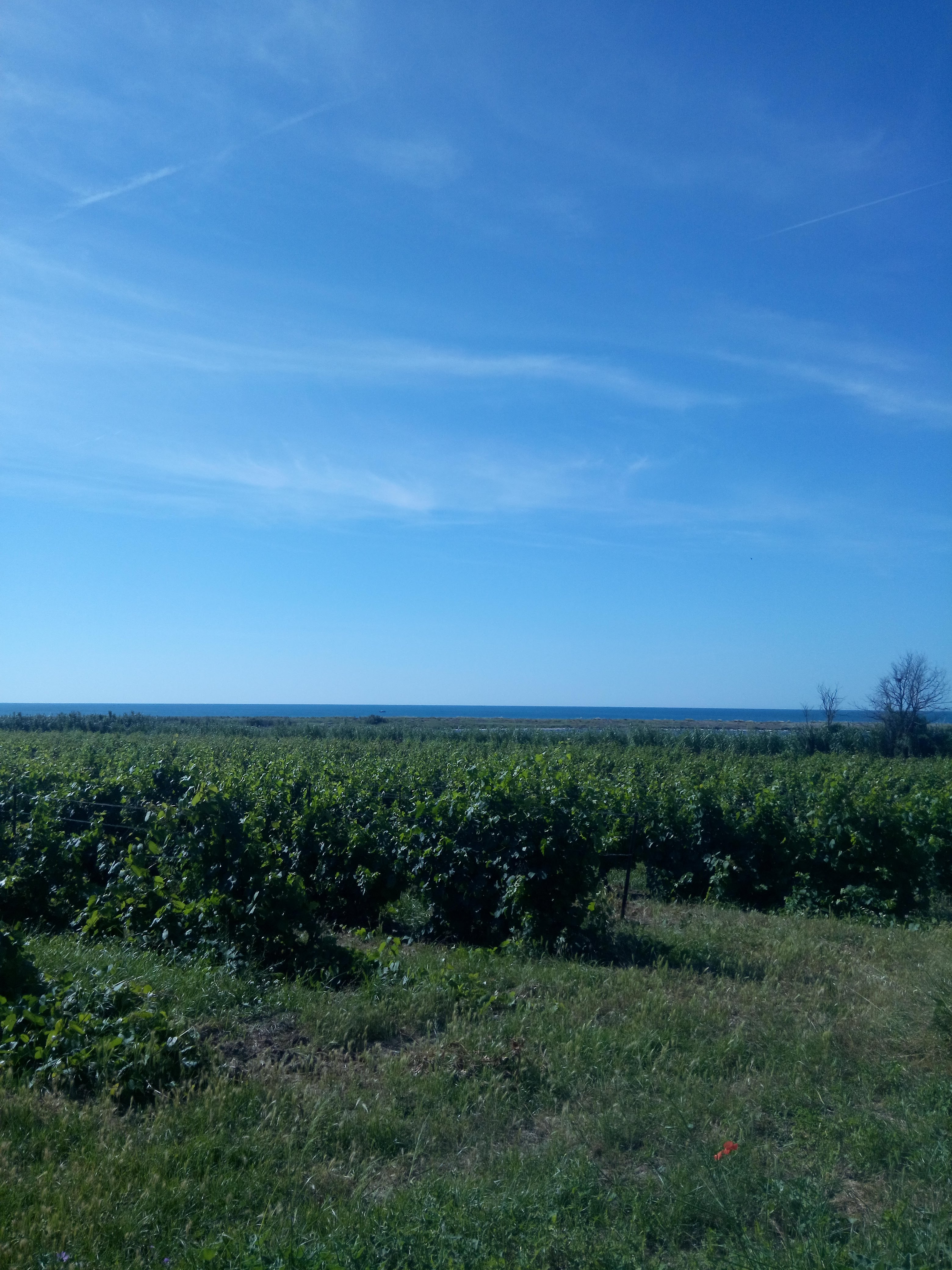 Photo n° 6 de l'avis de georges.a fait le 17/06/2018 à 14:30