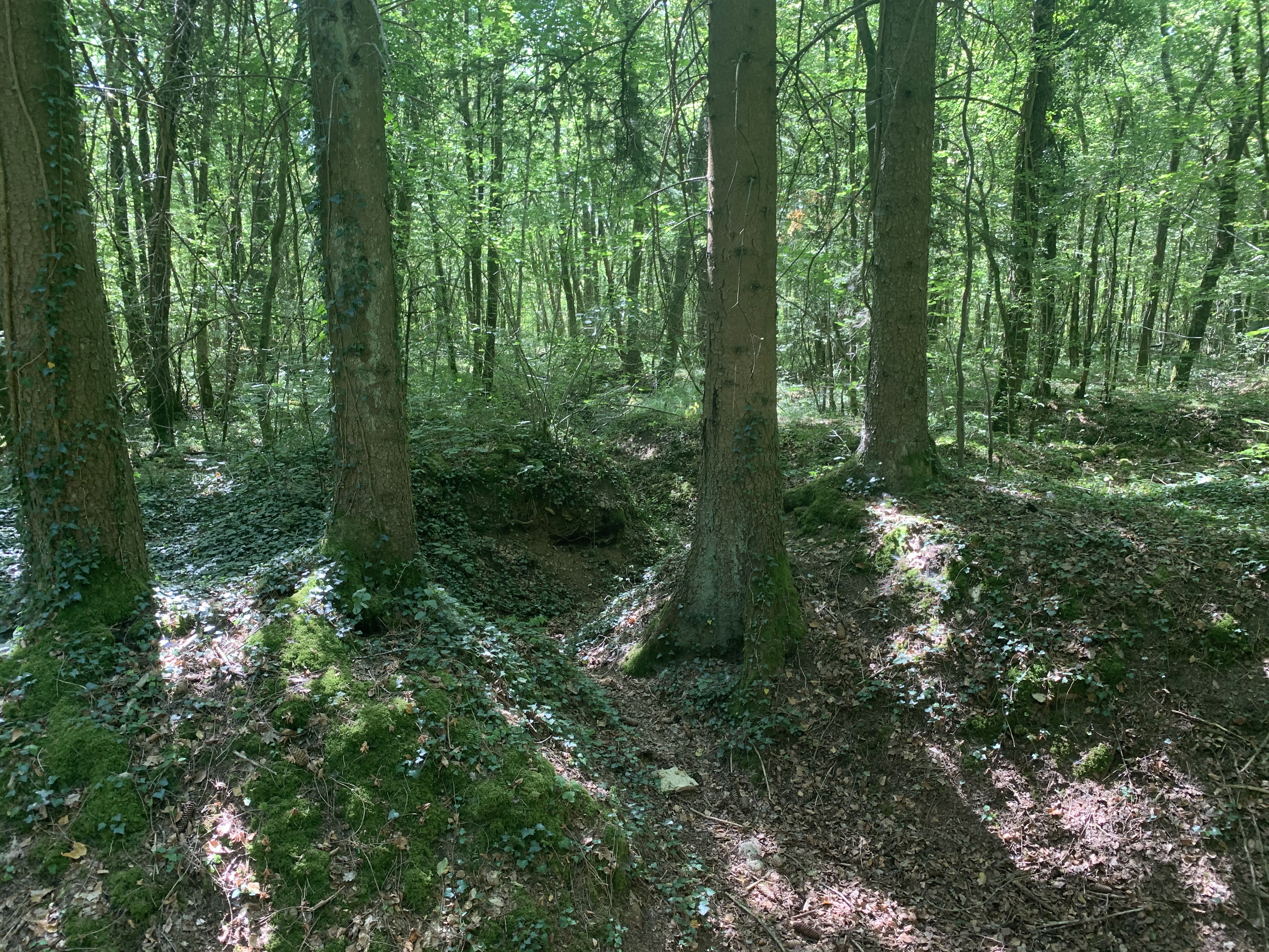 Photo n° 7 de l'avis de Ivo. fait le 18/08/2020 à 21:12