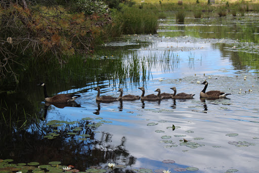 Community Park «Cloverdale Farm County Park», reviews and photos, 34 Cloverdale Rd, Barnegat, NJ 08005, USA
