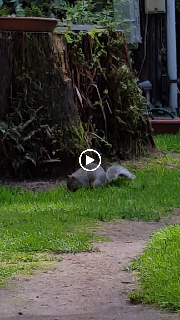 Body In Balance Massage Therapy 98513