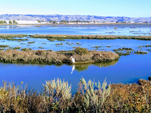 Eden Landing Ecological Reserve