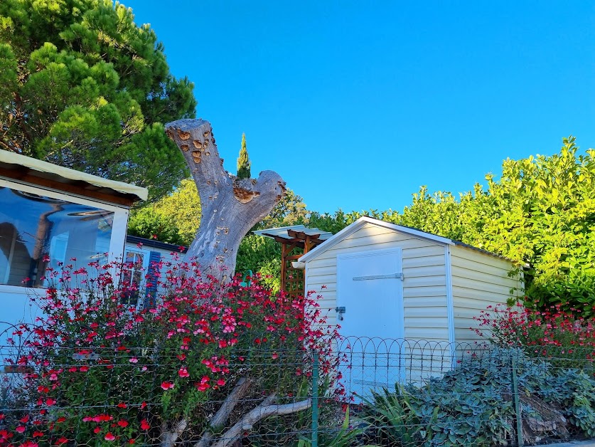 Camping Les Loges 5 Etoiles à Meschers-sur-Gironde