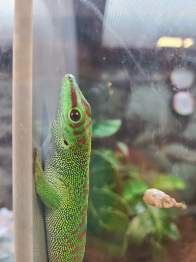 Pet Supply Store «Petco Animal Supplies», reviews and photos, 3731 Gateway Dr, Eau Claire, WI 54701, USA