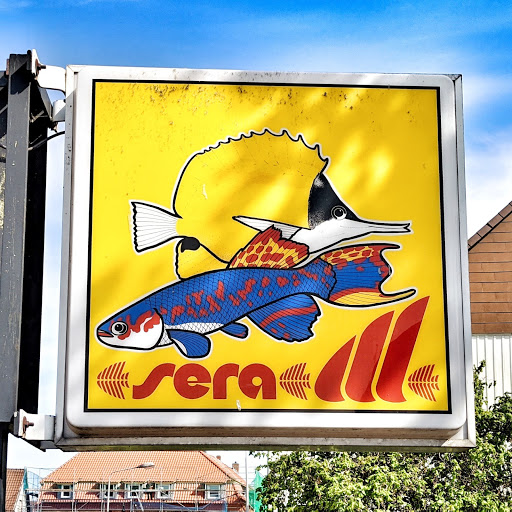 Aquaristik am Juessee unter Herzberg am Harz, 
