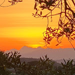 Photo n°3 de l'avis de Peter.a fait le 14/06/2022 à 19:57 sur le  Agricampeggio Cipollatico à Montespertoli