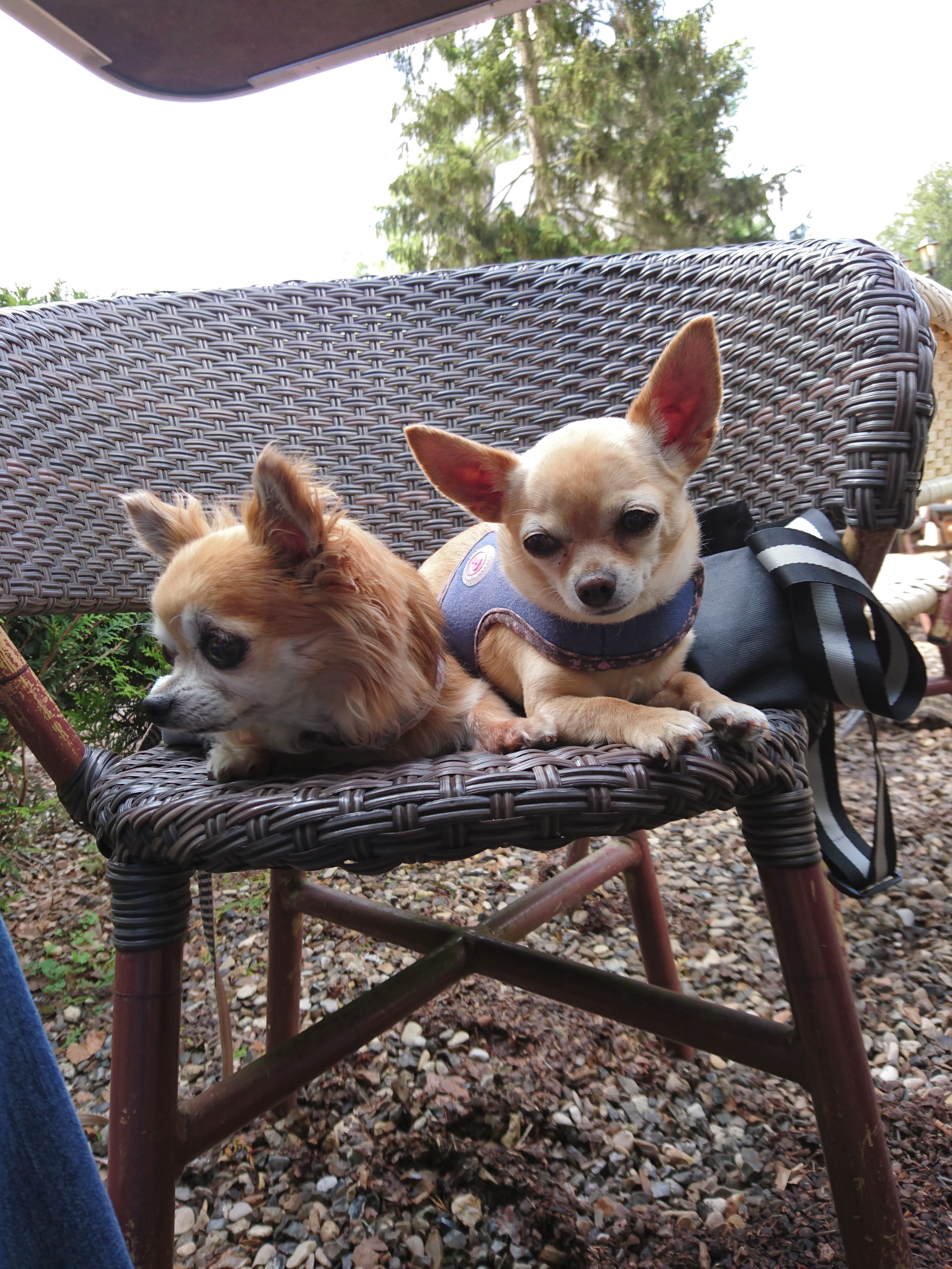 Photo n° 3 de l'avis de Marie.a fait le 07/06/2018 à 16:04