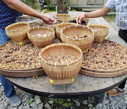 Bali Geo Luwak Coffee photo