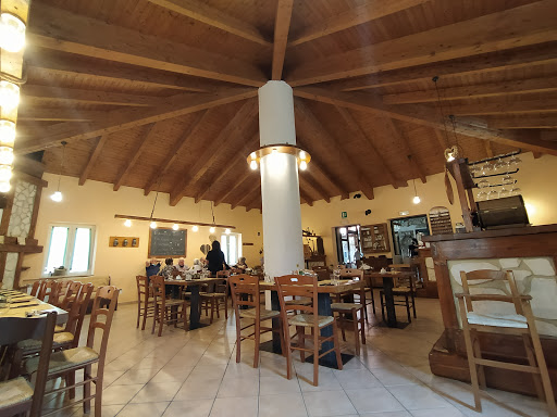 Abete Bianco in Pescopennataro, Provincia di Isernia