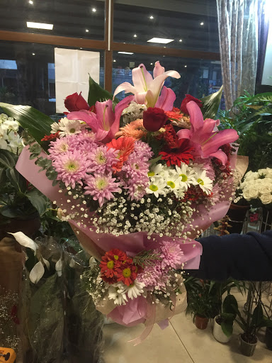 Güllük Orkide Çiçekçilik