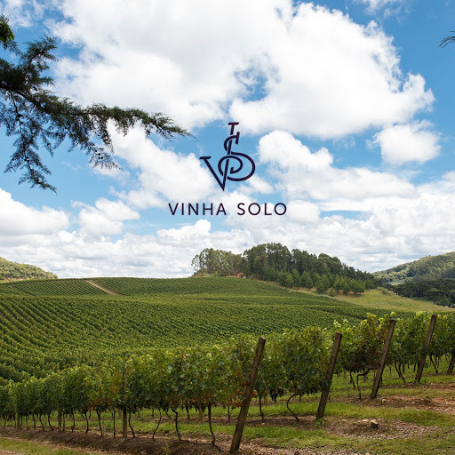Logo da empresa - Vinha Solo