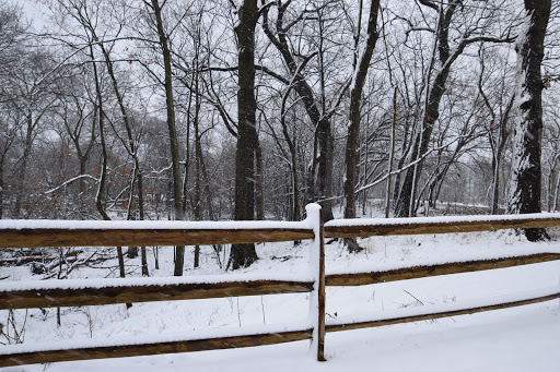 Nature Preserve «Thaddeus S. 