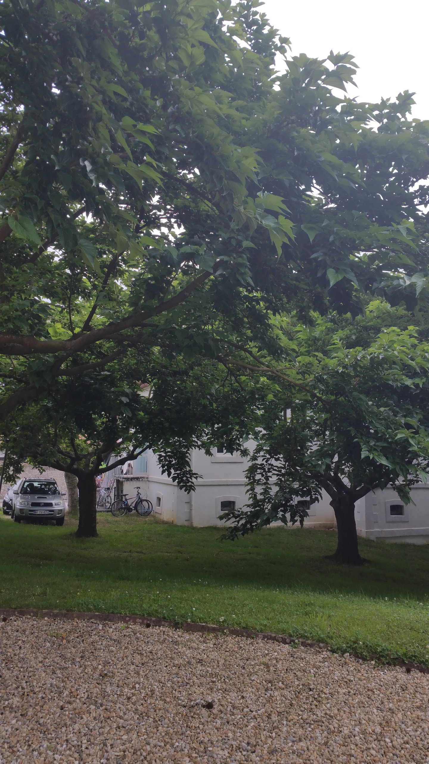 Photo n° 1 de l'avis de Eugenia.a fait le 01/07/2017 à 09:55