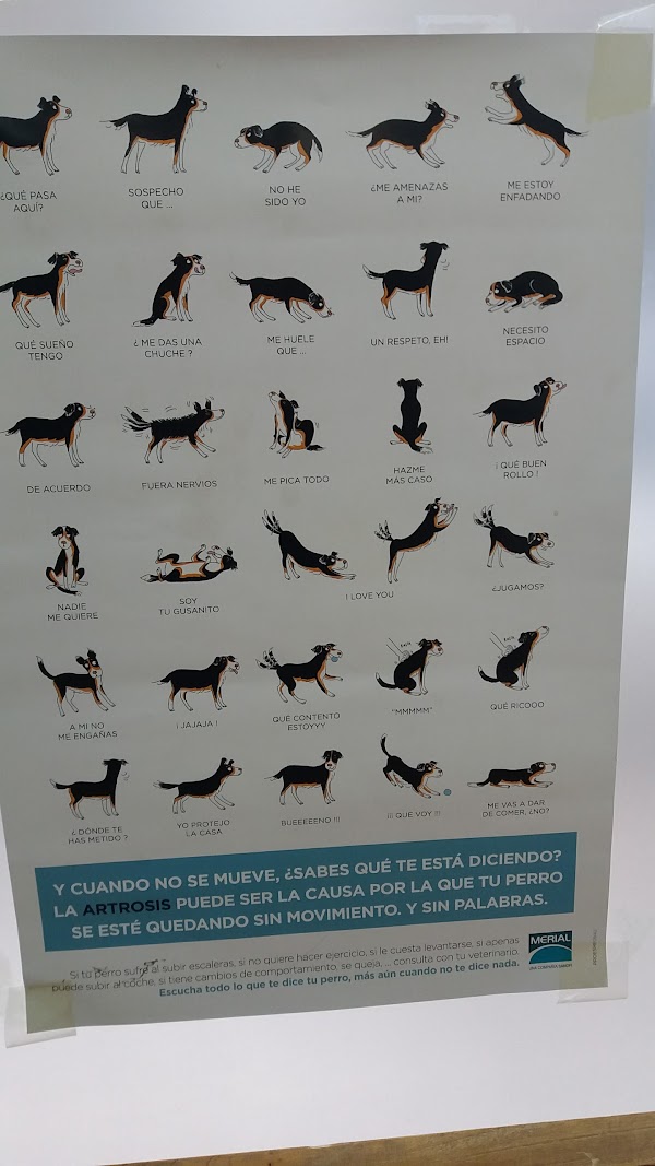 Clínica Veterinaria Orkolaga, C.B.