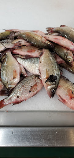 Market «Top Quality Food Market», reviews and photos, 818 US-46, Parsippany, NJ 07054, USA