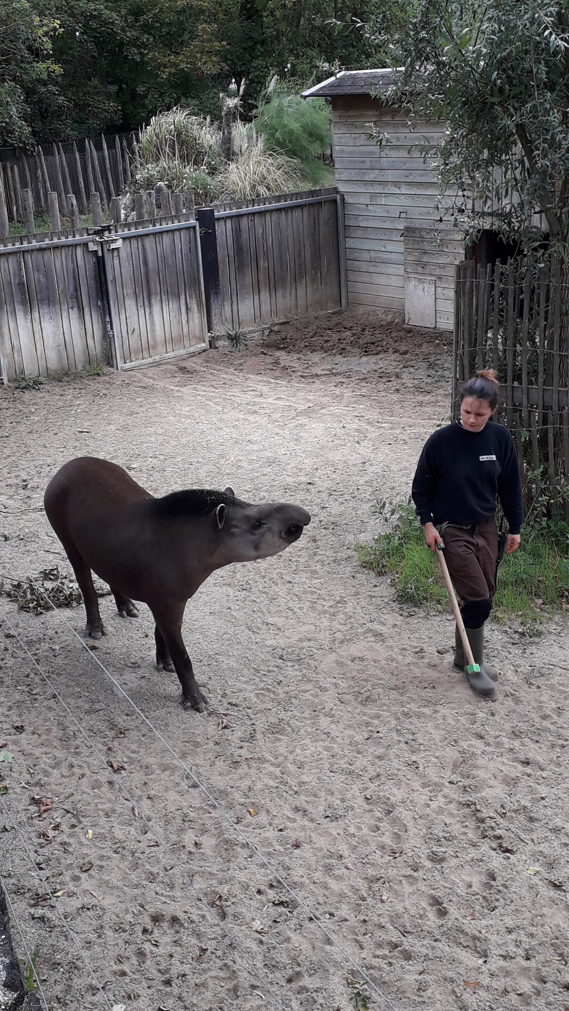 Photo n° 8 de l'avis de Catherine.C fait le 27/08/2020 à 11:42