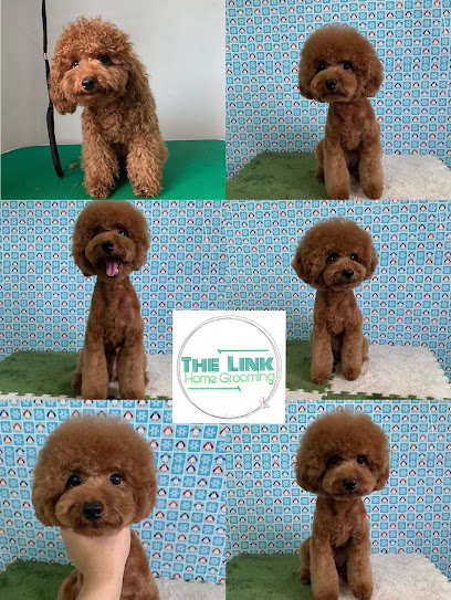 TheLink Pet Home Grooming