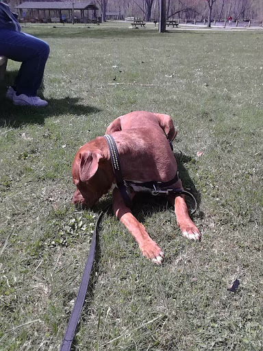 Public Swimming Pool «Water Works Family Aquatic Center», reviews and photos, 2025 Munroe Falls Ave, Cuyahoga Falls, OH 44221, USA