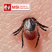 MSI Termite & Pest Control - Photo 9 - Car repair in Fayetteville, GA, South Fulton