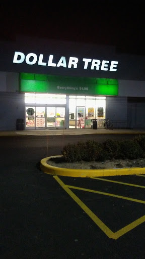 Dollar Store «Dollar Tree», reviews and photos, 1031 E Oakton St, Des Plaines, IL 60018, USA