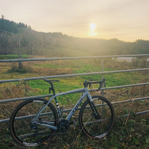 Bicycle Store «Bike Gallery - Beaverton», reviews and photos, 12345 SW Canyon Rd, Beaverton, OR 97005, USA