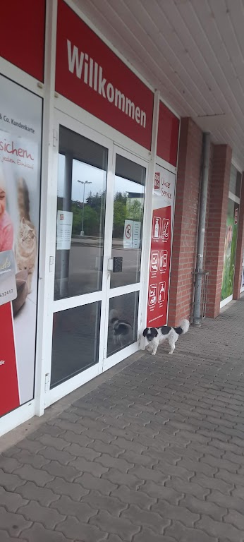 Zoo & Co. Fritz Sondershausen