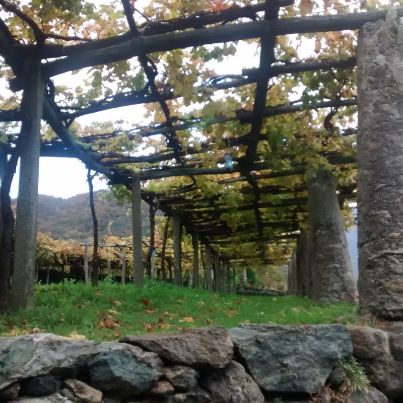 Cantina Produttori Nebbiolo Di Carema (S.R.L.)