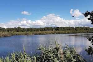 Tävsmoor / Haselauer Moor image