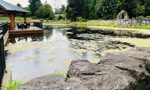 Winery «Bethany Vineyard & Winery», reviews and photos, 4115 NE 259th St, Ridgefield, WA 98642, USA