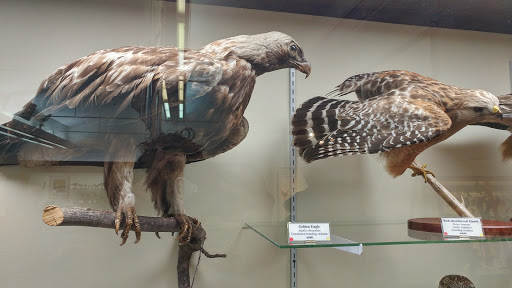 Museum «Pacific Grove Museum of Natural History», reviews and photos