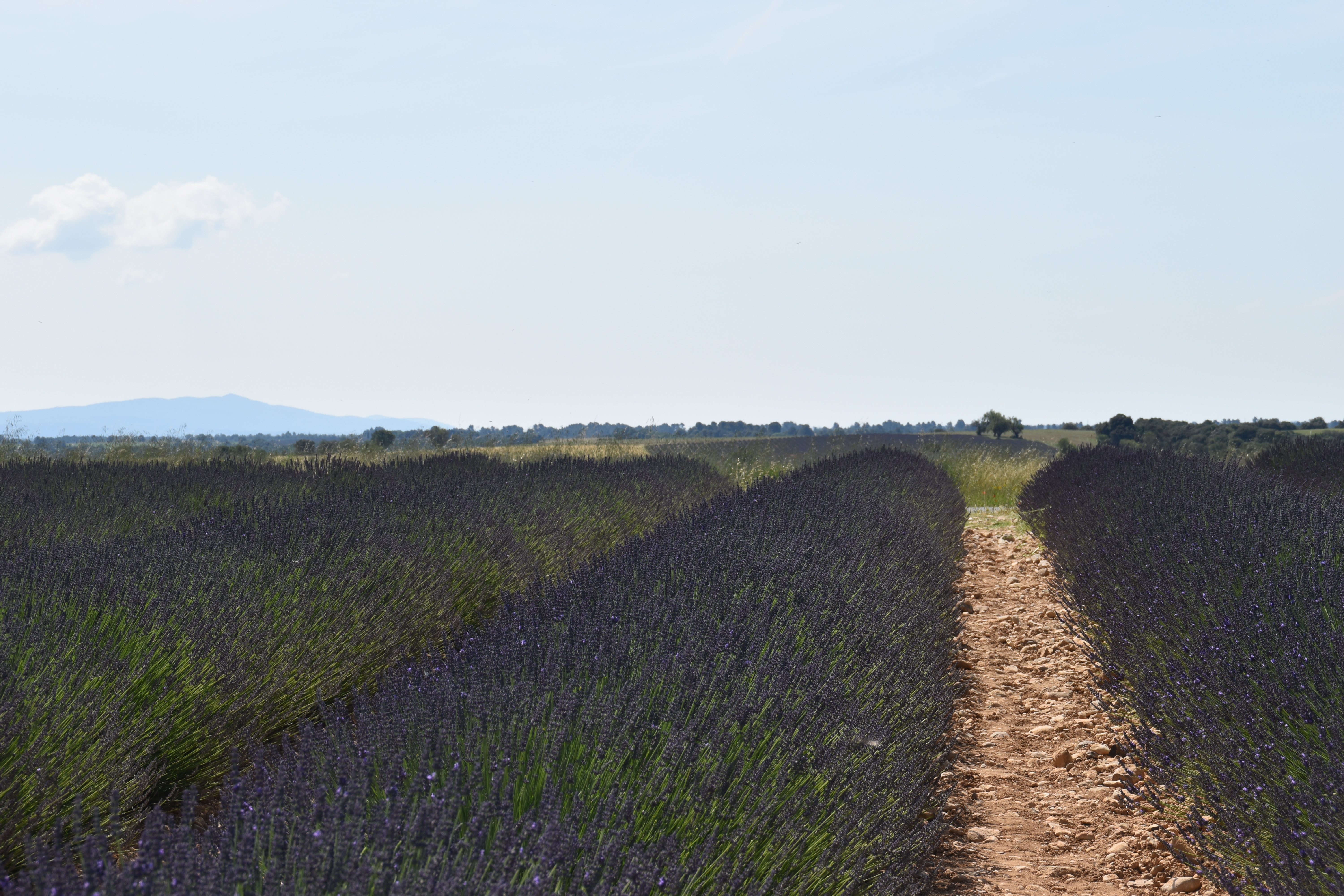 Photo n° 7 de l'avis de Liz.e fait le 27/06/2018 à 12:15
