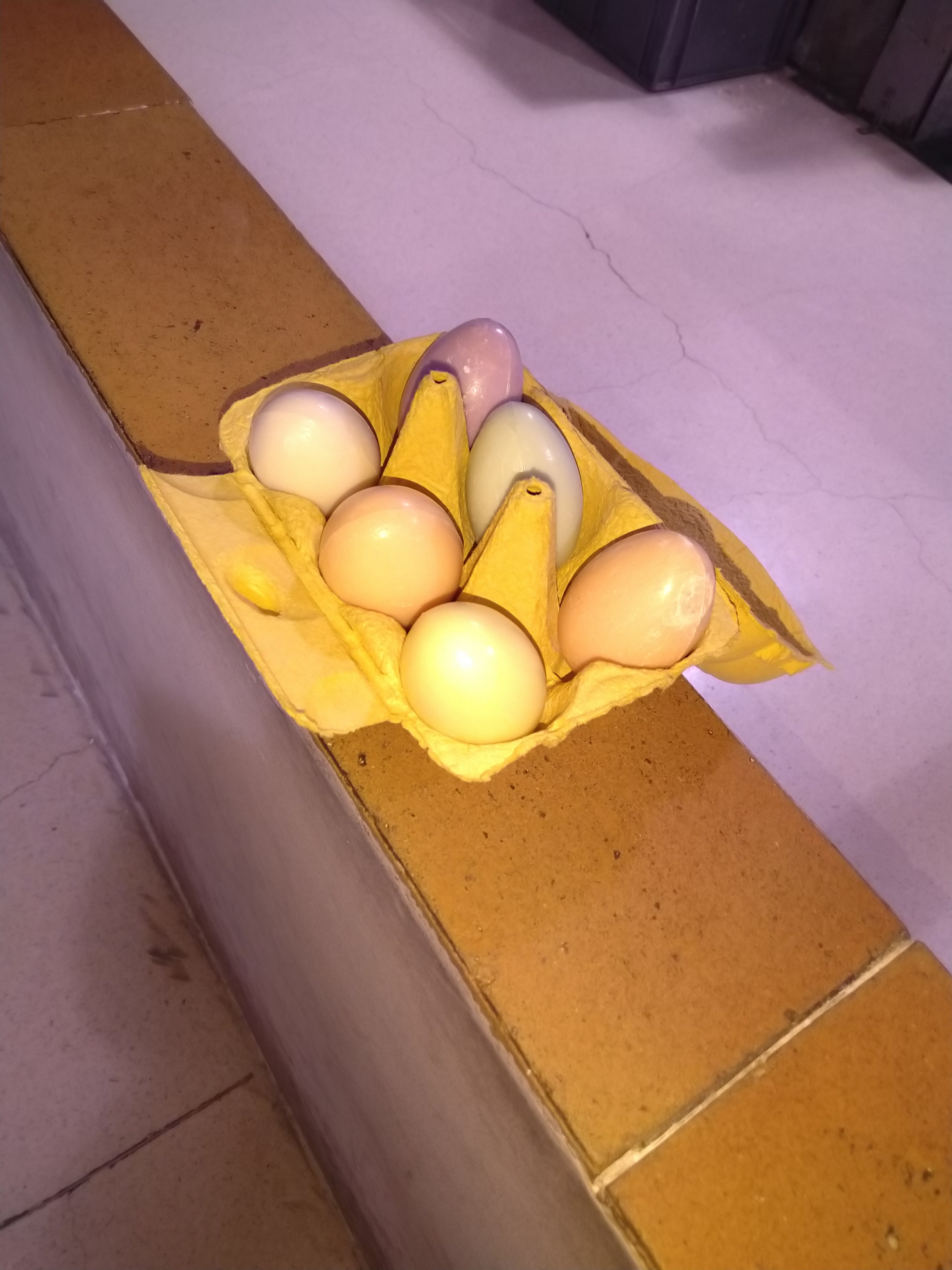 Photo n° 4 de l'avis de M... fait le 21/02/2020 à 13:51